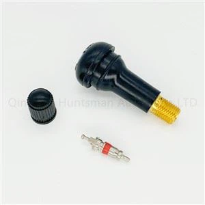 КЛАПАН ДЛЯ БЕСКАМЕРНЫХ ШИН АВТОМОБИЛЯ